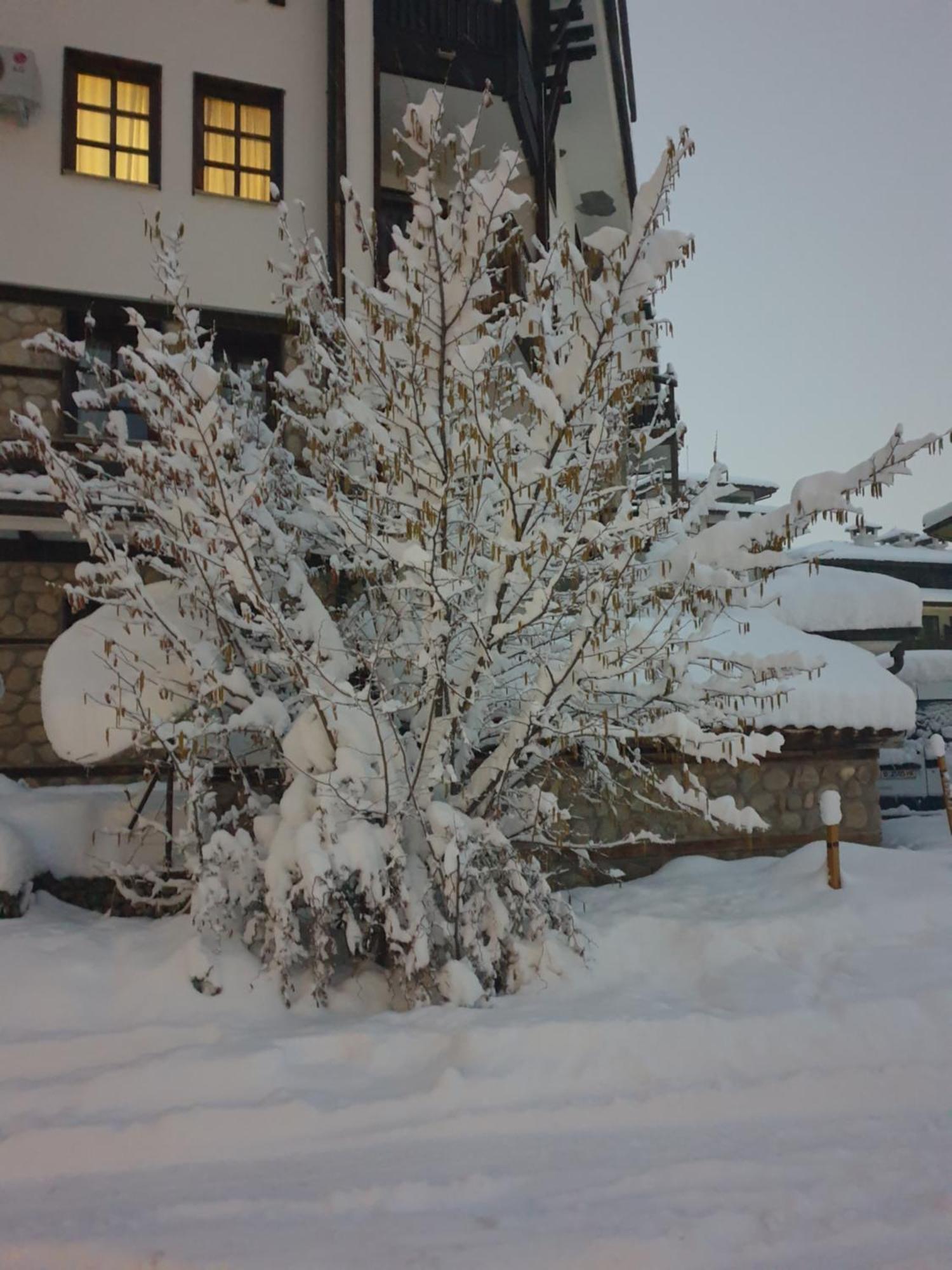 Dream Apart Hotel 207 Bansko Bilik gambar