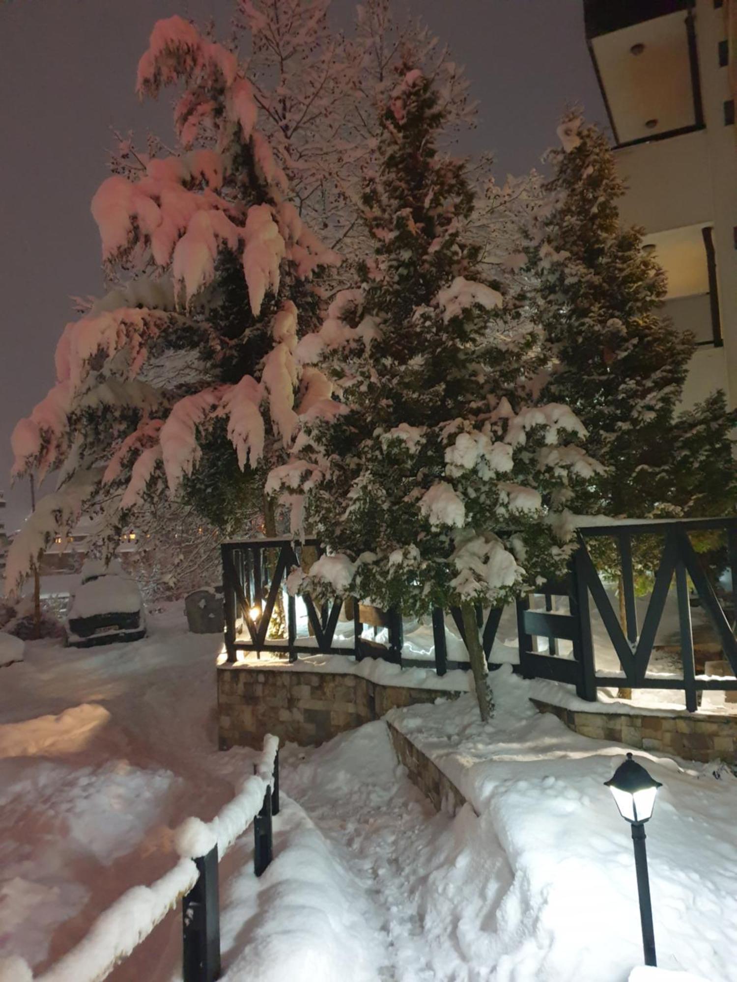 Dream Apart Hotel 207 Bansko Bilik gambar
